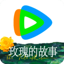 天间两阴会代表什么生肖