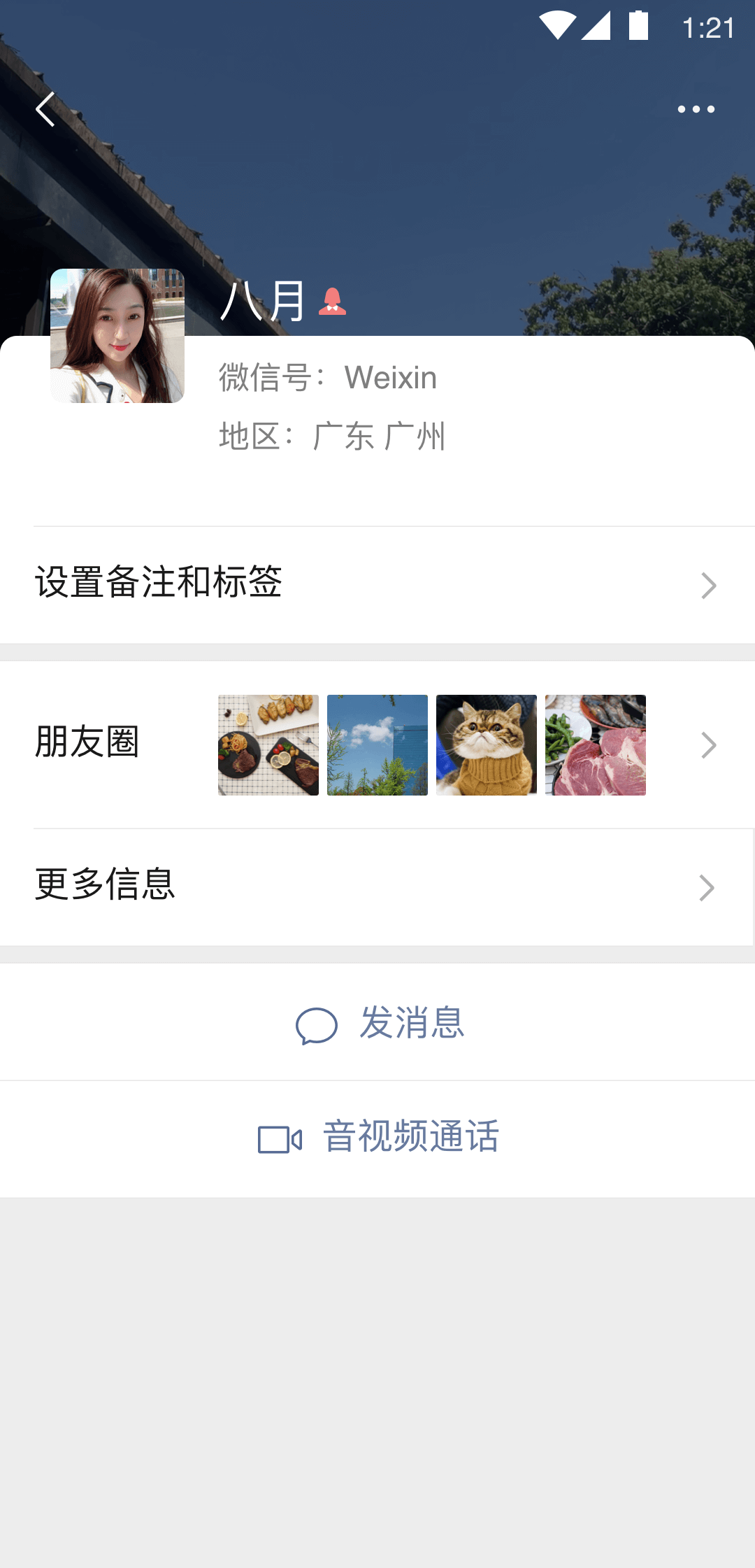 大长腿的昆虫截图